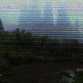 Forest Habits #1 - Therianthrope