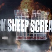 BLACK SHEEP SCREAMING