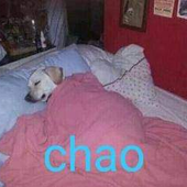 Tashisxq 的头像