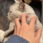 hanbinss 的头像
