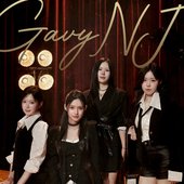 The Gavy NJ
