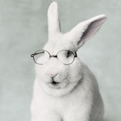 Avatar für PojeBunny