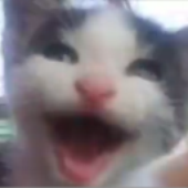 temmieinnit için avatar