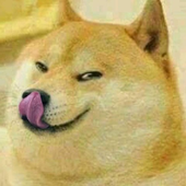 lowkey_satan 的头像
