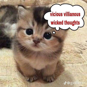 viBEEng 的头像
