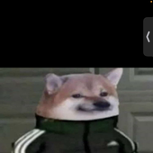 VukRistic 的头像