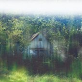 IMG_8924.jpeg