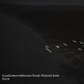 blueflowerredthorns/Roads Without Ends Split EP cover
