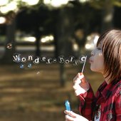 wonder-holic