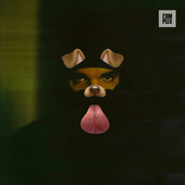 Colonel