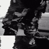 hxw they judge.gif