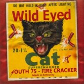 Fire Cracker