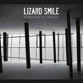 Wandering In Mirrors
