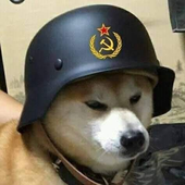 Avatar for dendogran