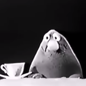 ToadTheFrog 的头像