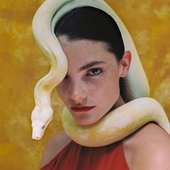 Claire Laffut Serpent Jaune