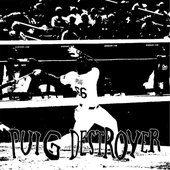 Puig Destroyer