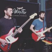 Arms That Fit Like Legs play at The Wiley Fox in Dublin - Summer 2019