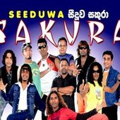 seeduwa-sakura~01.jpg