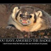 Avatar di super_badger