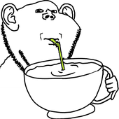 Avatar for mdkrt