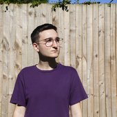 Dom Stern - Sunny fence