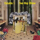 Two Way Mirror