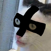 MichaelK1X 的头像