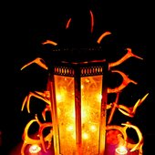 swamp lantern.jpg
