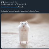Avatar for hamsterfreunde