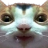 Jawnooo 的头像