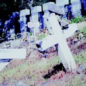 Part_of_Massacre_cemetery-crop-box.tif.750x464_q85_crop-smart_upscale.jpg