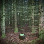 The Cauldron