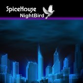 Nightbird
