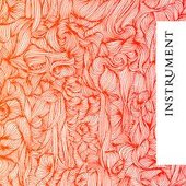 Instrument