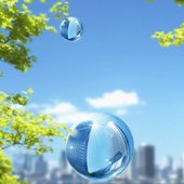 Sustainable Future Outlook