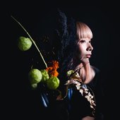 cocoon 24/11/27