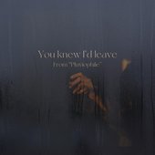 You knew I'd Leave - Single