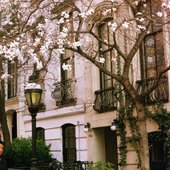 018_08.jpg