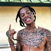 Boonk Gang.jpg