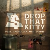 Drop That Kitty.jpg