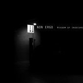 Wisdom of insecurity