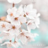 ab67616d00001e028cd5c98486210d70fb33abe1.jpg