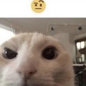 deftonesnoor 的头像