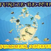 Turtle Beach.jpg