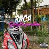 Raca Gangsta Paradise