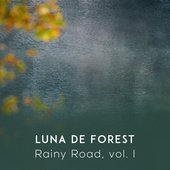 Rainy Road, vol. I