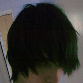 Avatar for AllTimeHighxD