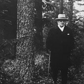 Sibelius in his happy place - the forest