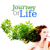 Journey Of Life